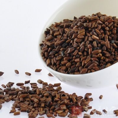 决明子是一种中草药材