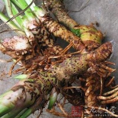 闻之气味芳香，口尝味微辛