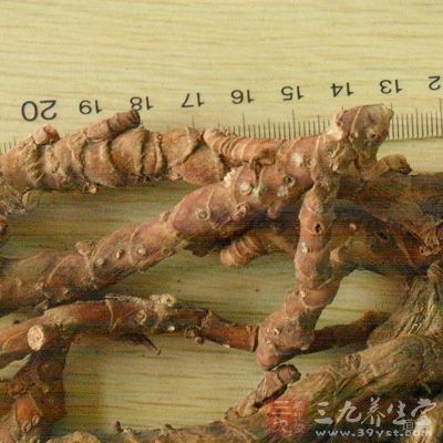 石菖蒲全株都是有毒性的，特别是它的根茎毒性最大