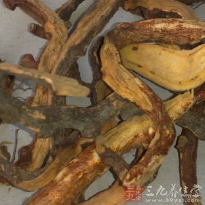 临床可用骨碎补防治，并与保肝降酶中药女贞子、败酱草、柴胡等同用