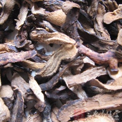 骨碎补适量，研为细末，每次6克