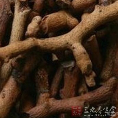 取骨碎补干片5钱，水煎分2次服，每日1剂，视需要可长期服用