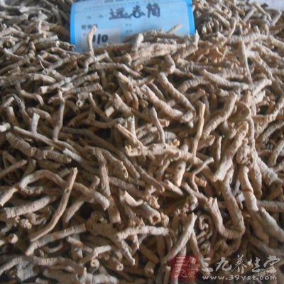 心肾有火，阴虚阳亢者忌服