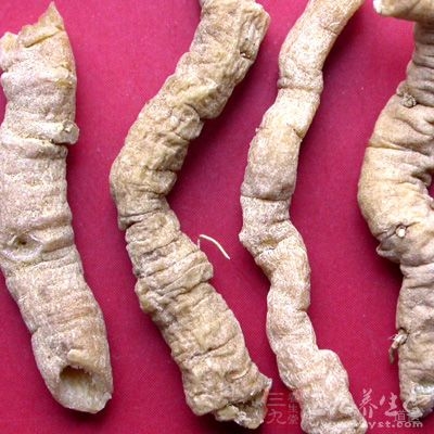 体内外实验表明，远志具有较强的子宫兴奋作用