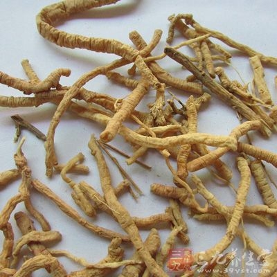 主咳逆伤中，补不足，除邪气，利九窍，益智慧，耳目聪明，不忘，强志倍力