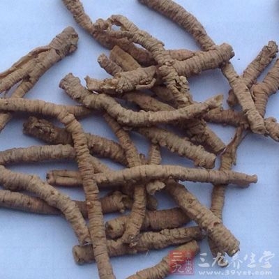 主膈气惊魇，长肌肉，助筋骨，妇人血噤失音，小儿客忤