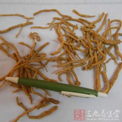 远志(汤洗去泥，捶去心)为末