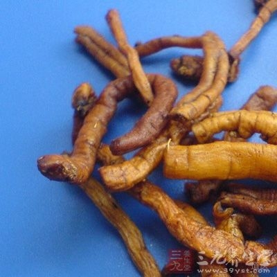 远志肉能通肾气，上达于心