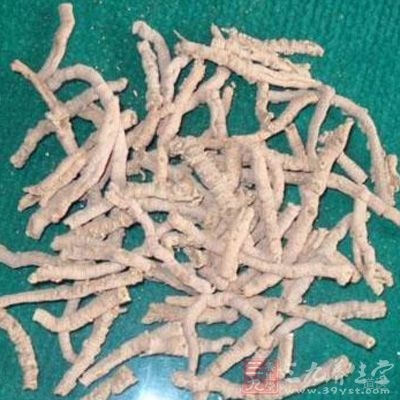 远志味苦而温。能祛痰开窍，安神益志