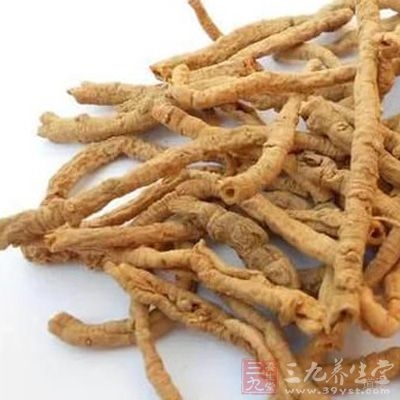 远志入心经，心主神明