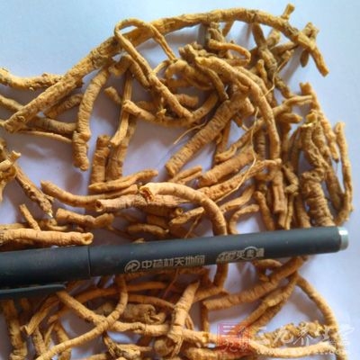 本品味辛通利，能利心窍，逐痰涎，故可用治痰阻心窍所致之癫痫抽搐，惊风发狂等症