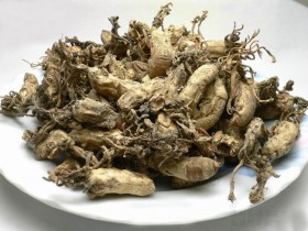 金蝉花的功效与作用及食用方法