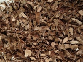 石菖蒲的功效与作用及禁忌,石菖蒲图片,石菖蒲的副作用