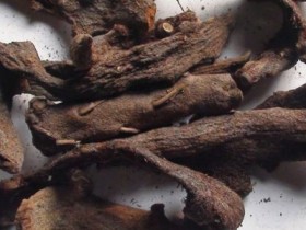 骨碎补的功效与作用及食用方法,骨碎补图片,骨碎补的副作用