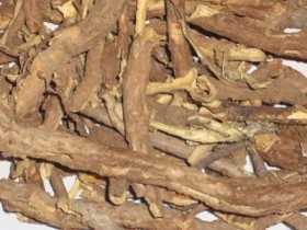 远志的作用与功效,中药远志的副作用及禁忌,远志图片