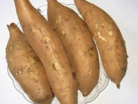 雪莲果的功效与作用,雪莲果的营养价值和吃法大全,雪莲果图片