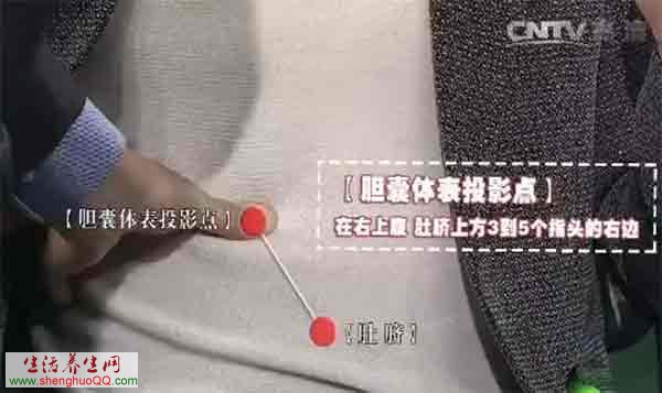 胆囊的体表投影点