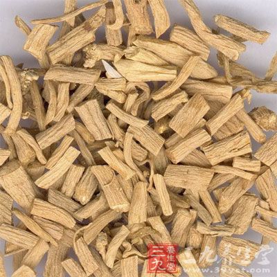 黄芩、栀子苦寒，有清热燥湿、导热下行之效，为臣药