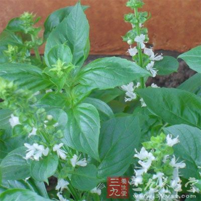 防风通圣丸是古代的一种预防用药