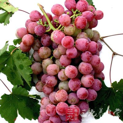 葡萄籽产品葡萄籽粉具有抗前列腺癌、抗肝脏肿瘤作用