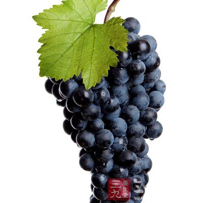 俗话说吃葡萄不吐葡萄皮