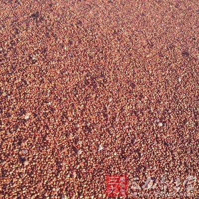 葡萄籽能有效预防皮肤癌