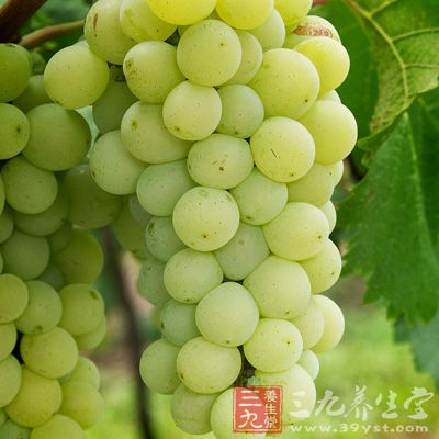 癌症饮食的神奇之选—葡萄籽
