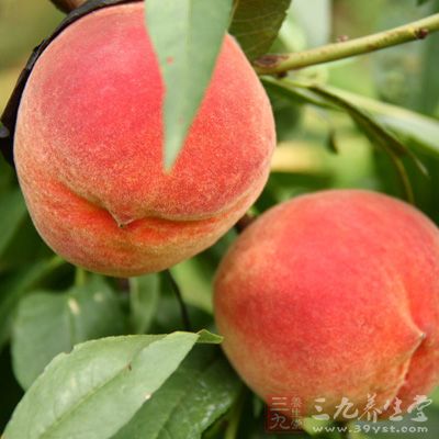 桃子含有维生素A、维生素B和维生素C，儿童多吃桃子可使身体健康成长