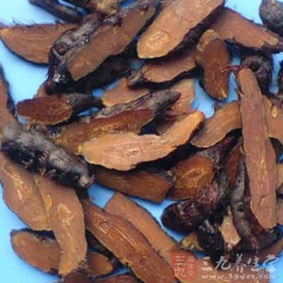 香附末，以绵杖送入