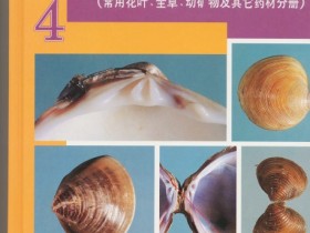 《中国中药材真伪鉴别图典（全四册）》