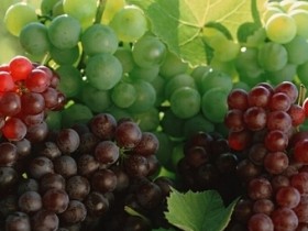 吃葡萄有什么好处，葡萄的功效与作用及营养价值
