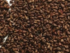 葡萄籽的功效与作用,葡萄籽能吃吗