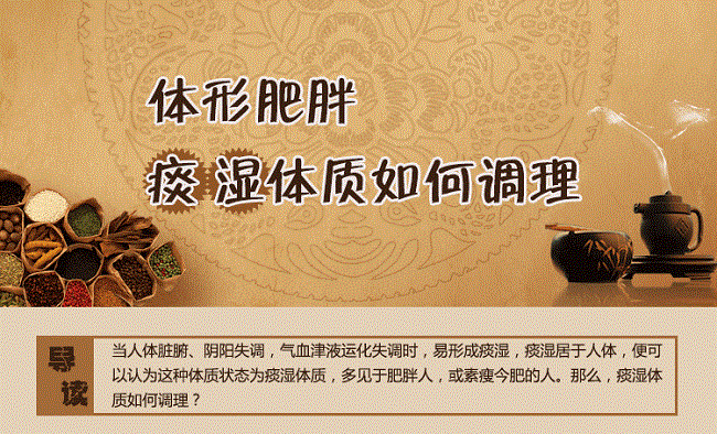 痰湿体质如何调理
