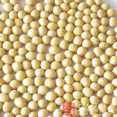 黄豆是我们生活中经常可以吃到的一种食物