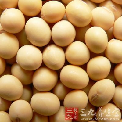 黄豆图片