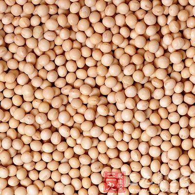 黄豆含有丰富的营养价值