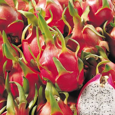 火龙果一个，银耳30克，木耳30克，雪梨一个，青豆15克，枸杞15克，冰糖适量