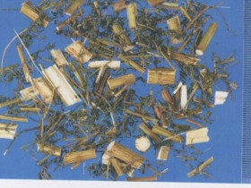 青蒿鳖甲汤组成,方歌方解,医案分析,功效与作用