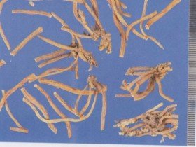 龙胆泻肝汤组成,方歌方解,医案分析,功效与作用