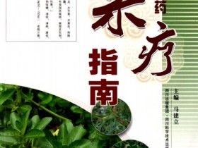 《新鲜中草药菜疗指南·彩图版》