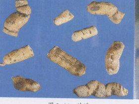 舟车丸组成,方歌方解,医案分析,功效与作用