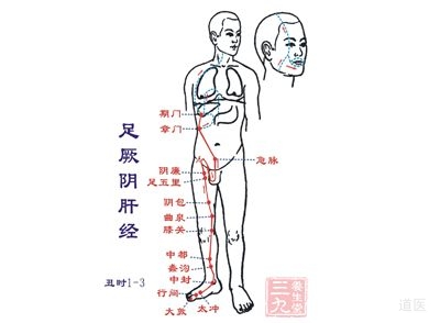 足厥阴肝经经络循行路线图