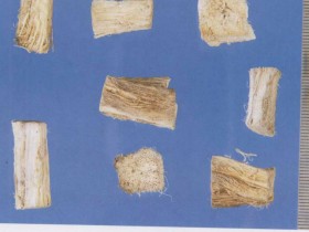 小儿湿热腹泻的中医治疗医案