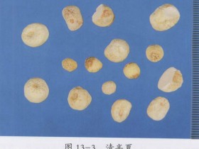 二陈汤加减治疗痰湿咳嗽,慢性气管炎