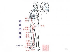 肝的作用是什么？中医养肝护肝方法介绍