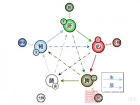 中医脾的功能与作用，怎样养脾