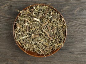 新加香薷饮加减治疗暑热感冒