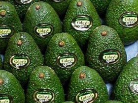 牛油果怎么选？如何挑选牛油果