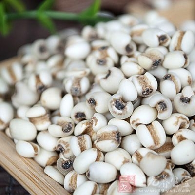 薏米有增强免疫力和抗炎作用