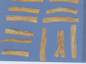 阳虚腰痛病的中医治疗医案